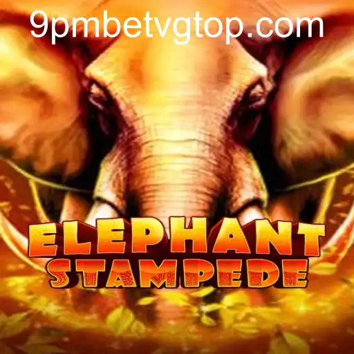 ElephantStampede